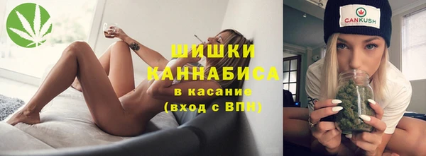 соль ск Алзамай