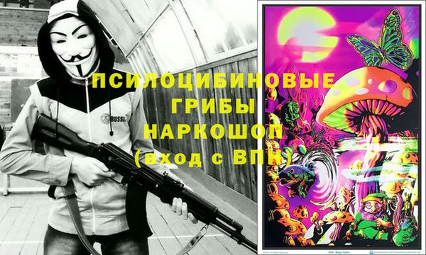 соль ск Алзамай