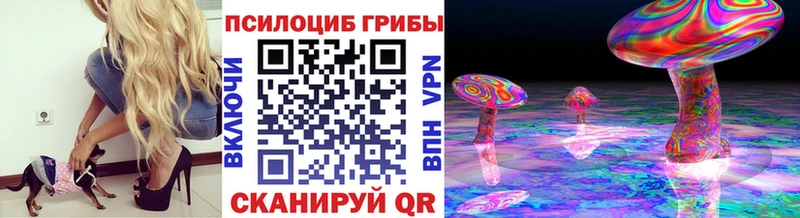 Псилоцибиновые грибы мицелий  Апрелевка 